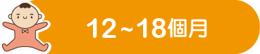 12～18個月